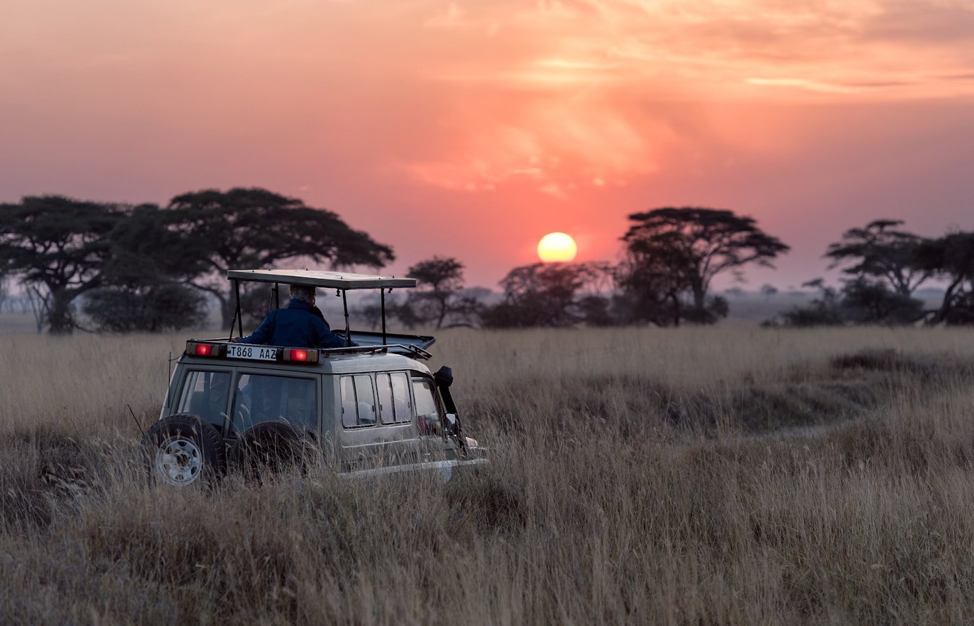 Safari & Wildlife Tours
